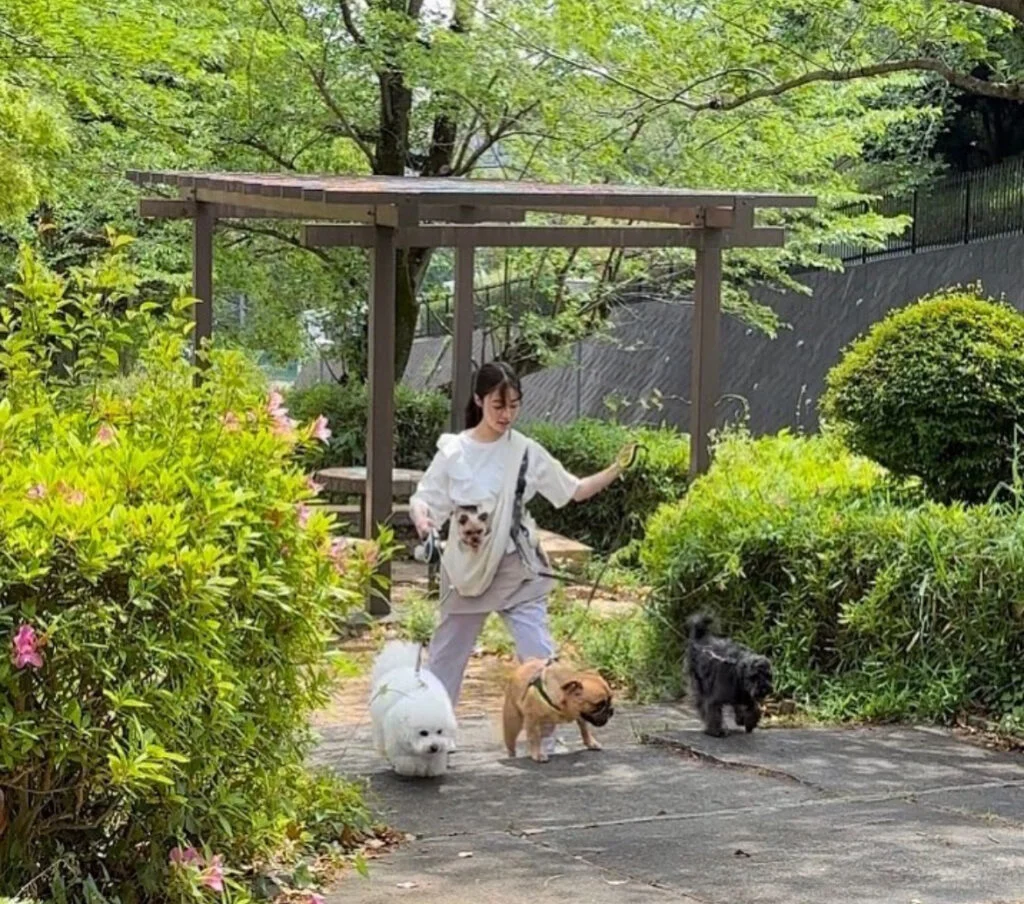 犬の散歩をする橋本環奈