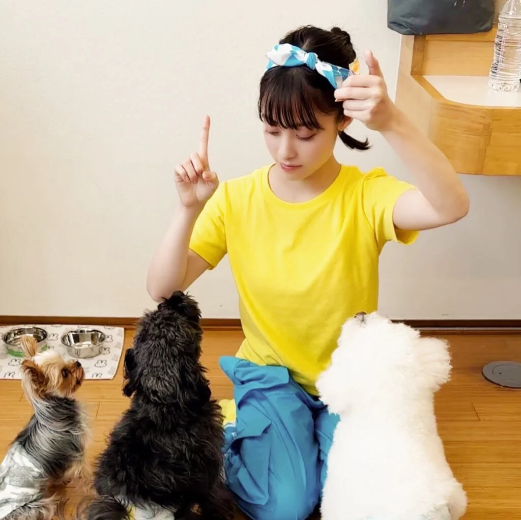 犬と戯れる橋本環奈